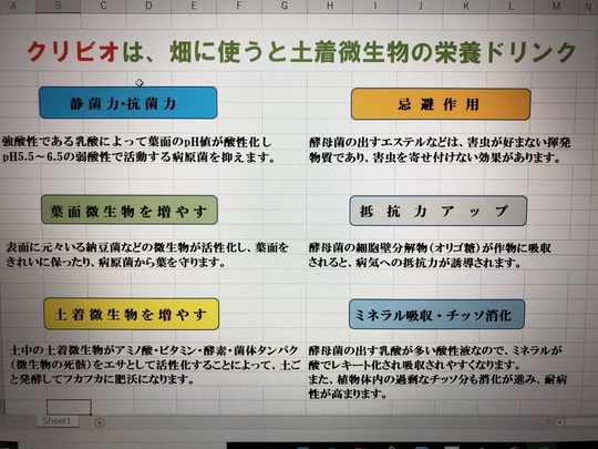 クリビオでSDGs - 沖縄県恩納村の沖縄料理・居酒屋・グルメ・民宿 心の宿